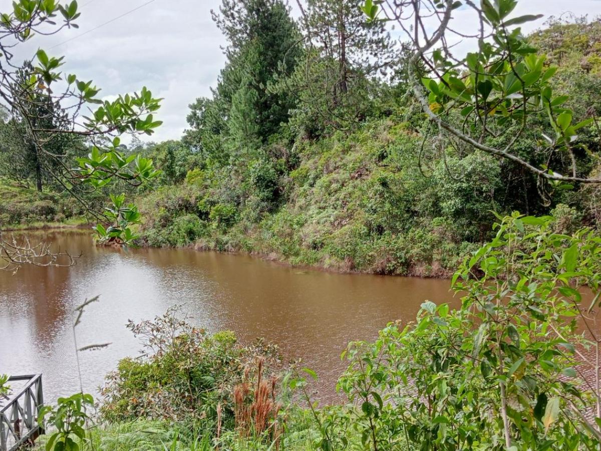 La laguna encantada El Tambo, Cauca: ubicación, mitos y leyendas