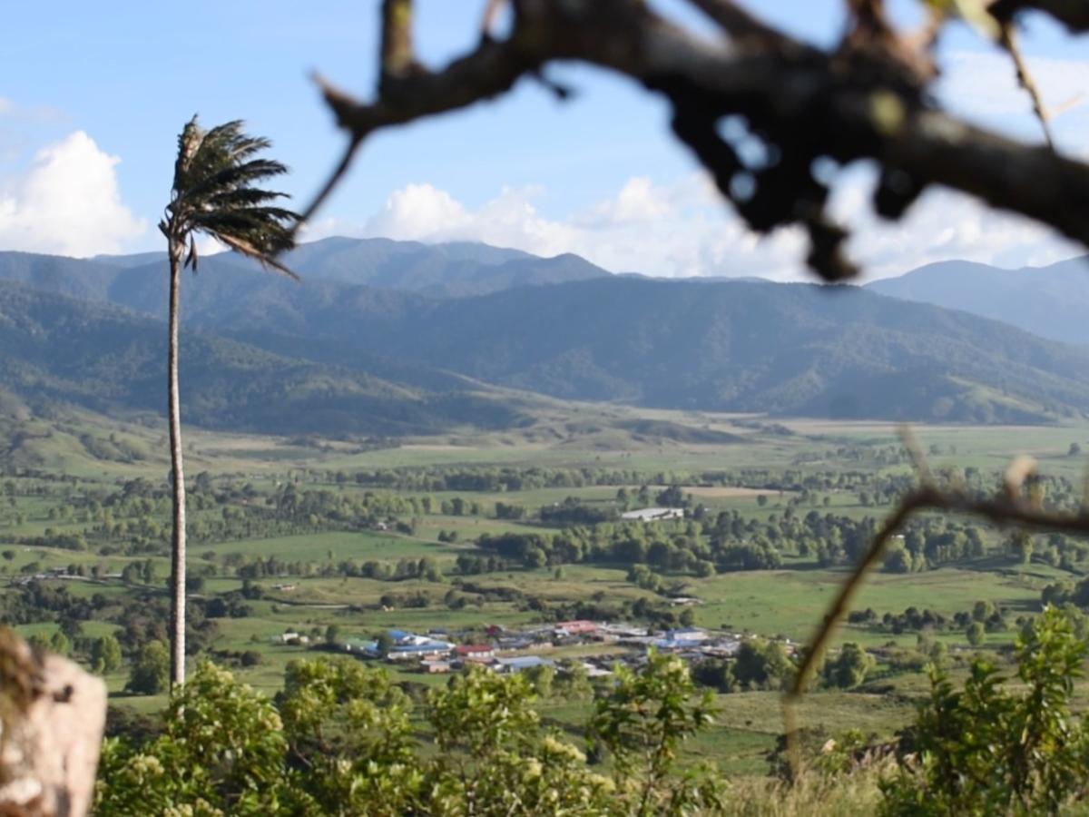 Alerta por minas antipersonal y combates en San Vicente del Caguán