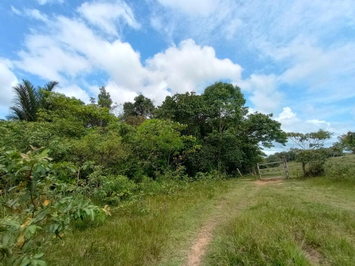 Legalizan predios rurales para familias de Leguízamo, Putumayo