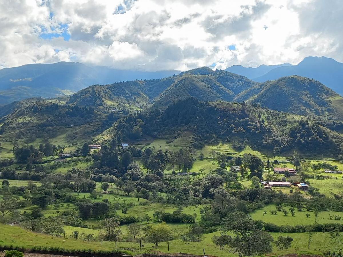 Departamento del Cauca 