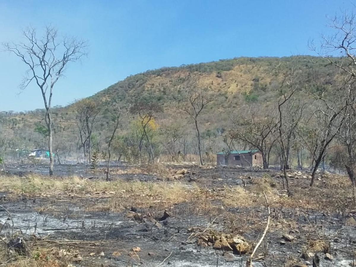 Incendio forestal en Sabana Crespo