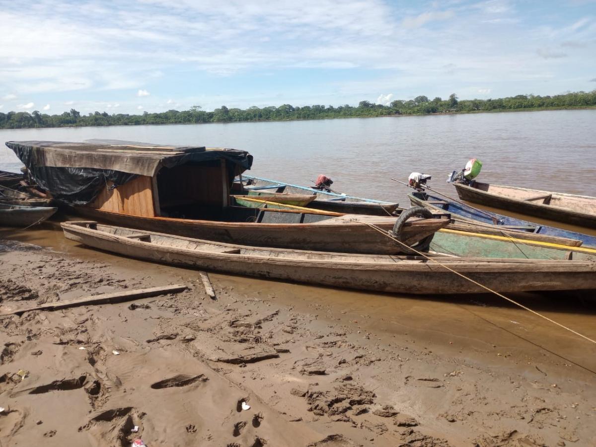 Foro Internacional: crímenes contra la naturaleza y el territorio: conclusiones