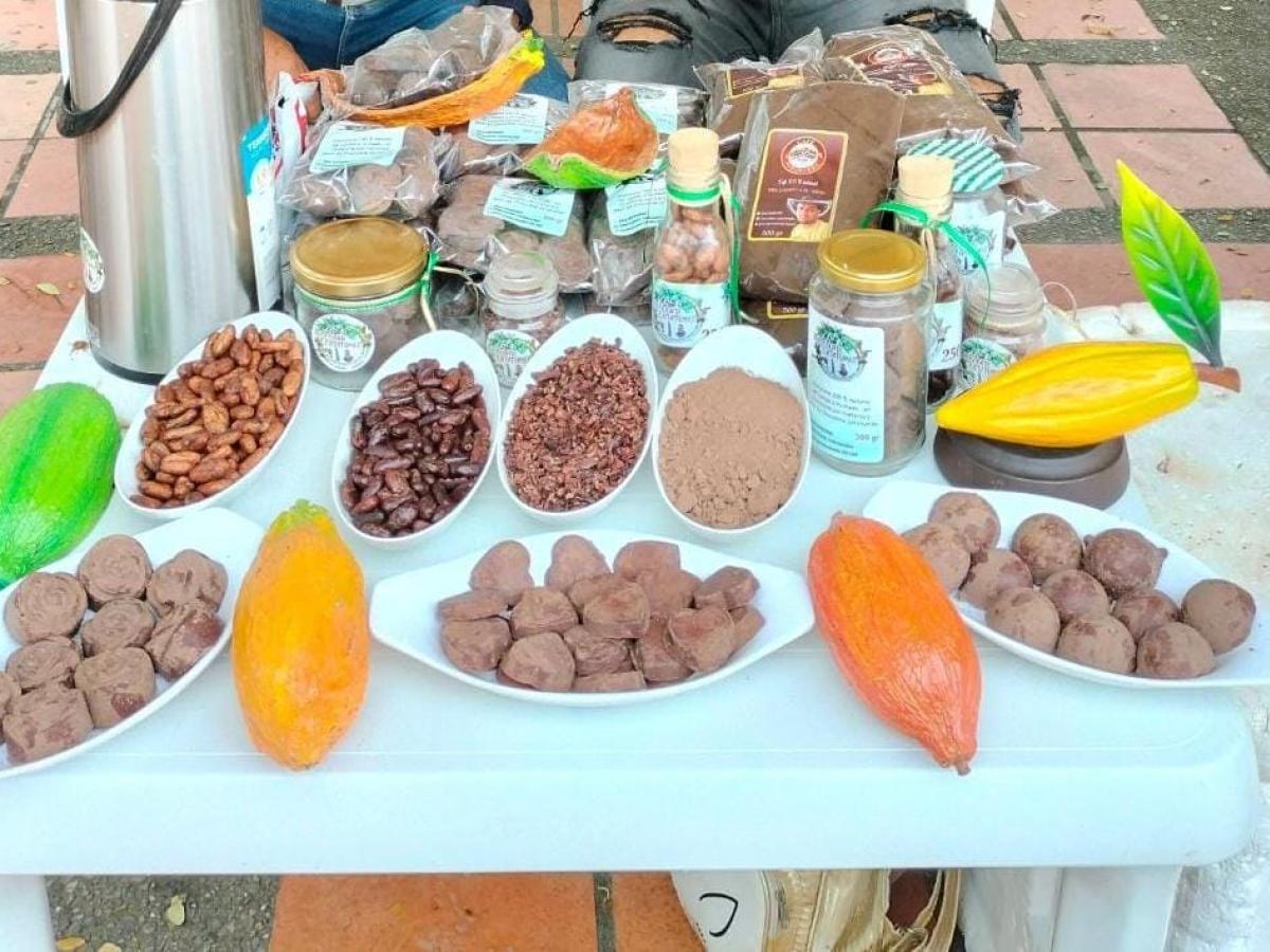 Chocolates Catatumbo: transformación legal desde los cultivos ilícitos