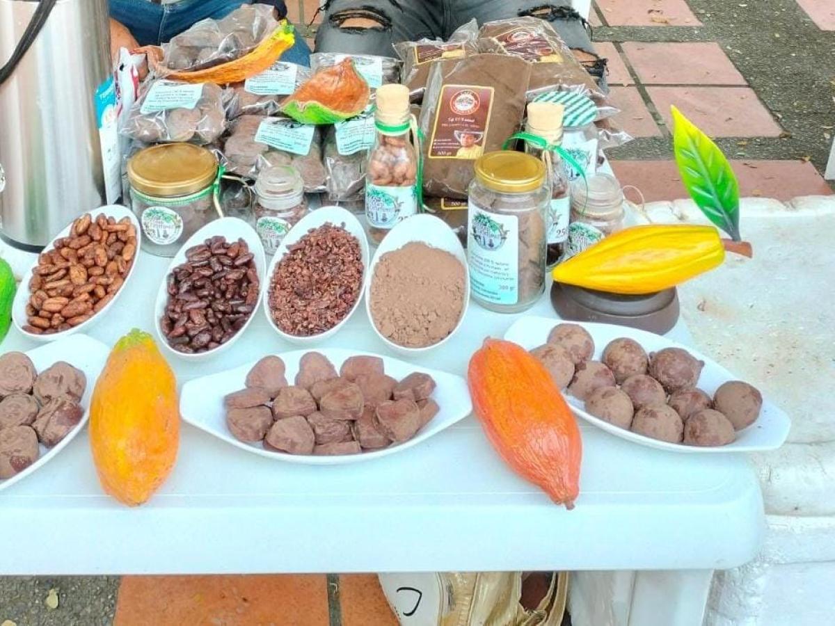 Chocolates Catatumbo: transformación legal desde los cultivos ilícitos