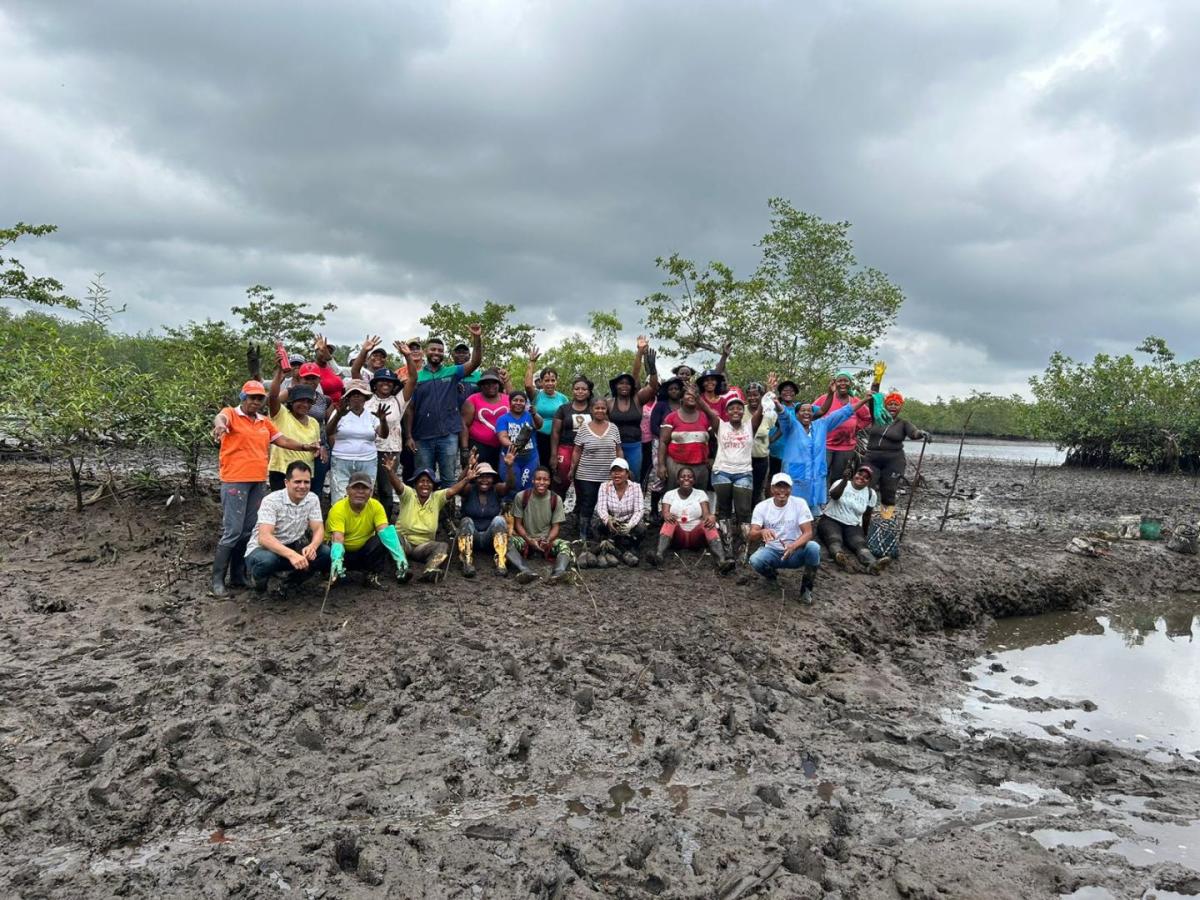 ¿Cuál es la importancia del cuidado de los manglares?