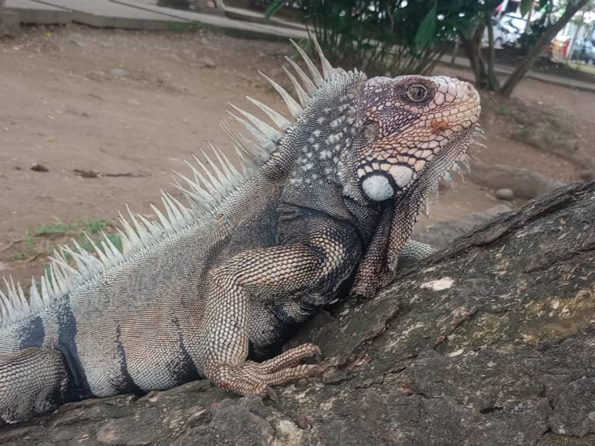 Tumaco y sus fantásticos paisajes llaman al turismo nacional e internacional