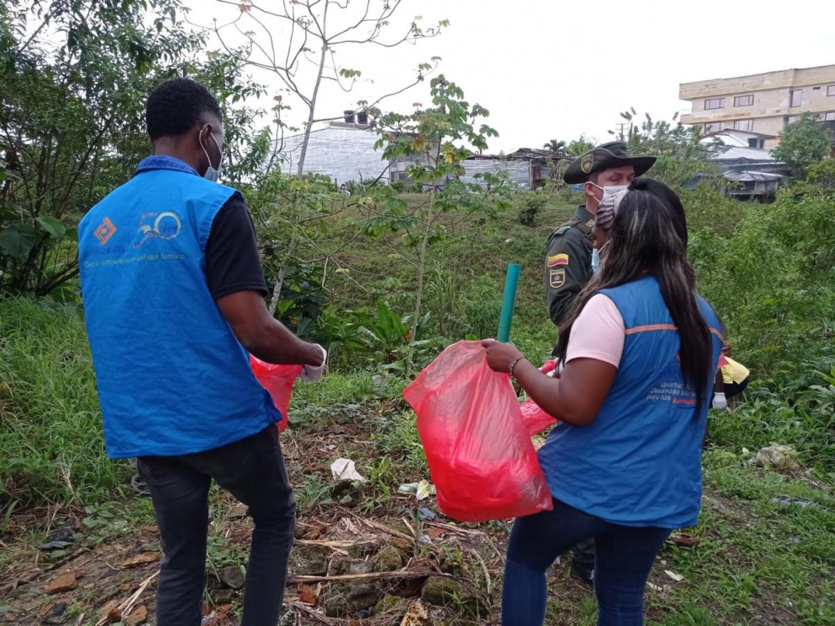 Caracol gigante africano en Chocó: municipios en alerta y recomendaciones de CODECHOCO