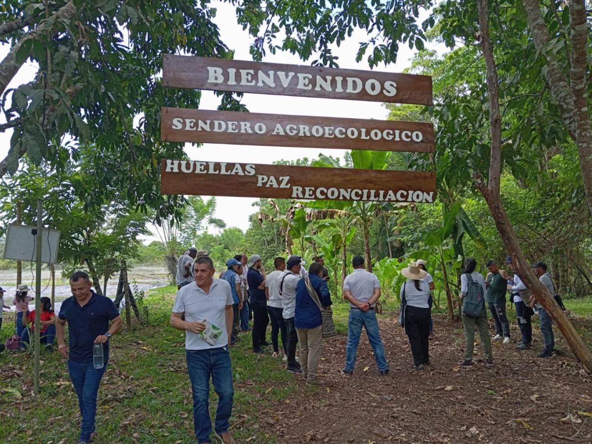 Acuerdo de Paz: avances y retos pendientes en Putumayo 