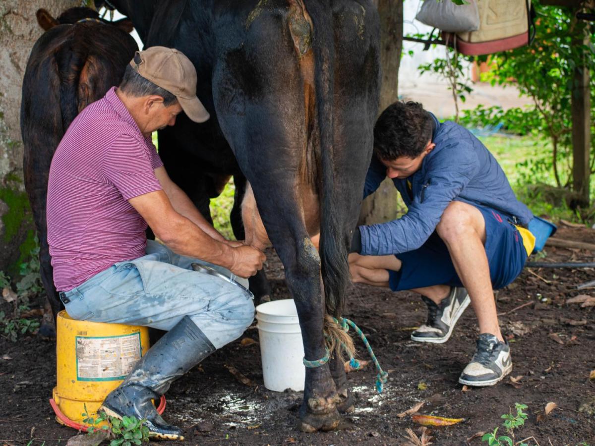 Agroecología para promover el campo en los jóvenes 