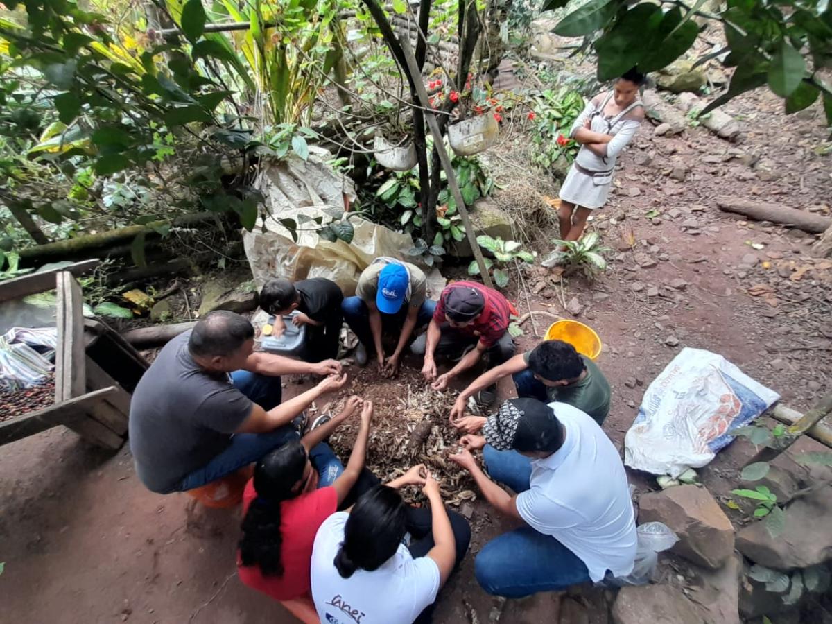 Asoanei: café y cacao