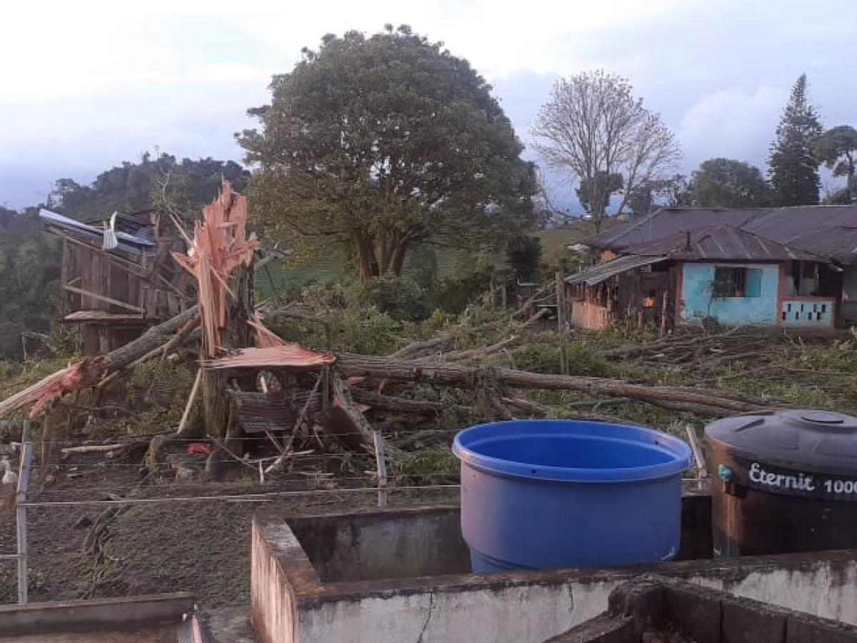 Temporada de lluvias 