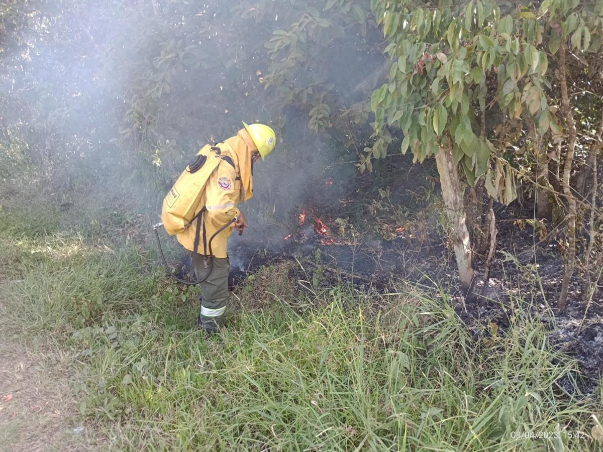 Alerta ambiental en Tolima: altas temperaturas y riesgo de incendios
