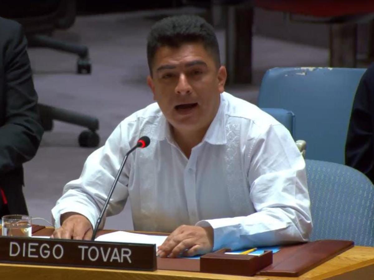 Los retos de la paz serán expuestos en el Consejo de Seguridad de la ONU