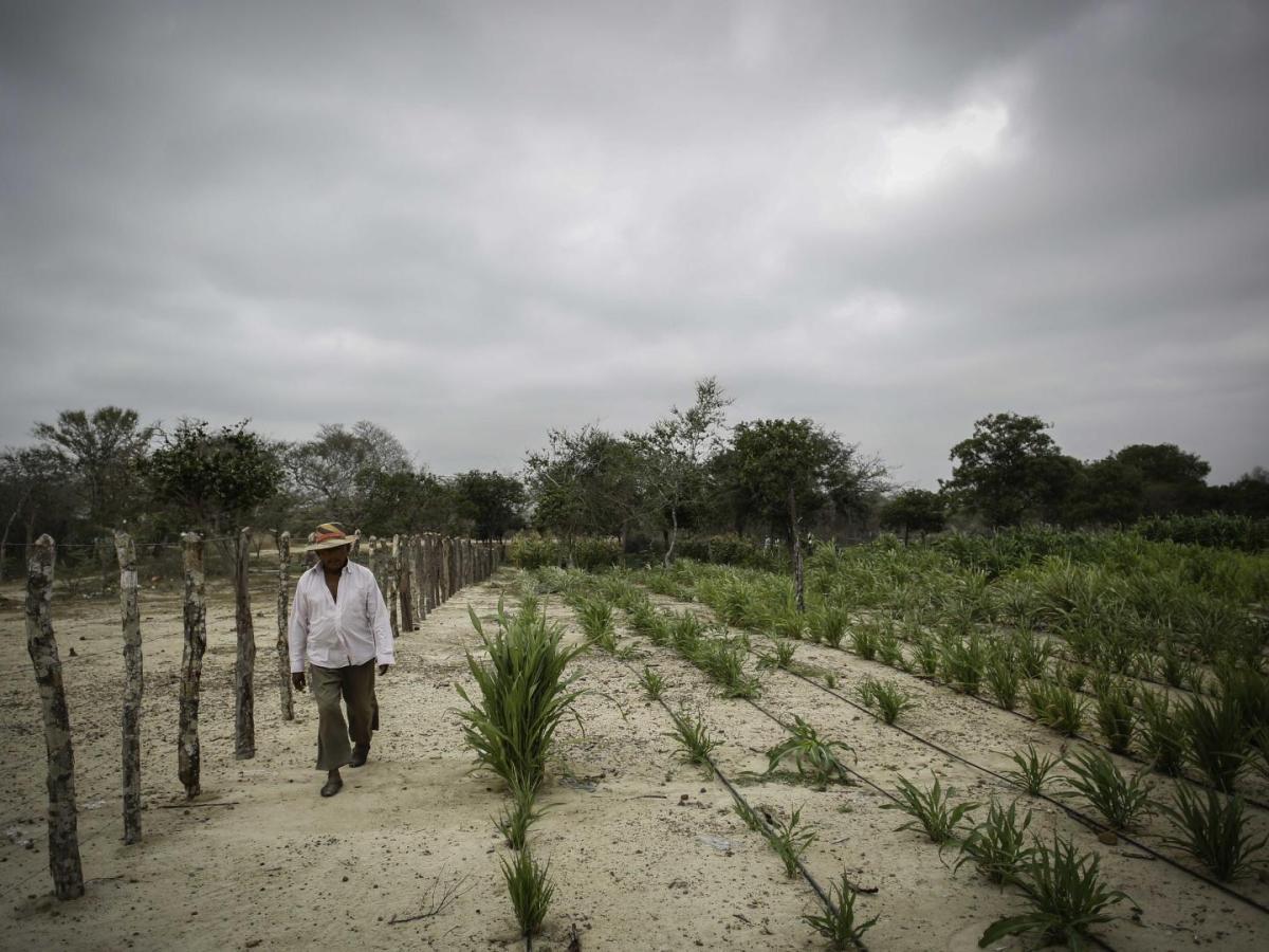 Alerta por llegada del fenómeno de El Niño