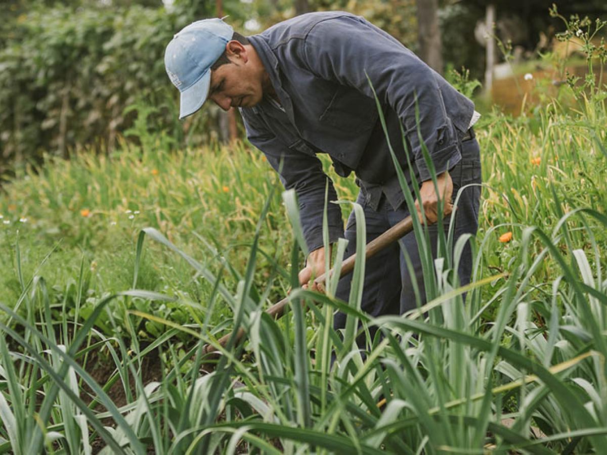 Firmantes de paz exigen al Congreso aprobar el proyecto de ley ordinaria de la Jurisdicción Agraria