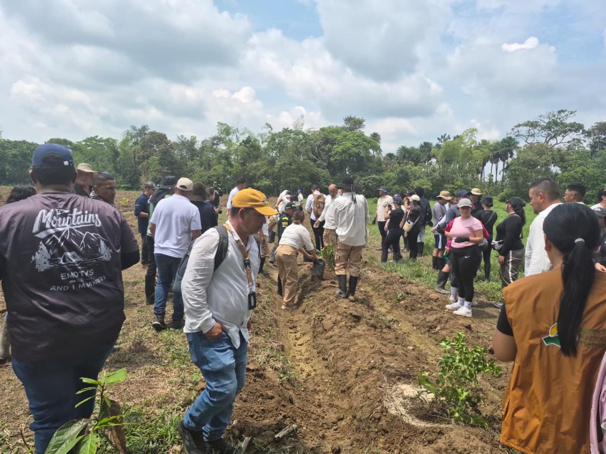 Firmantes de paz impulsan proyectos ambientales en el Meta