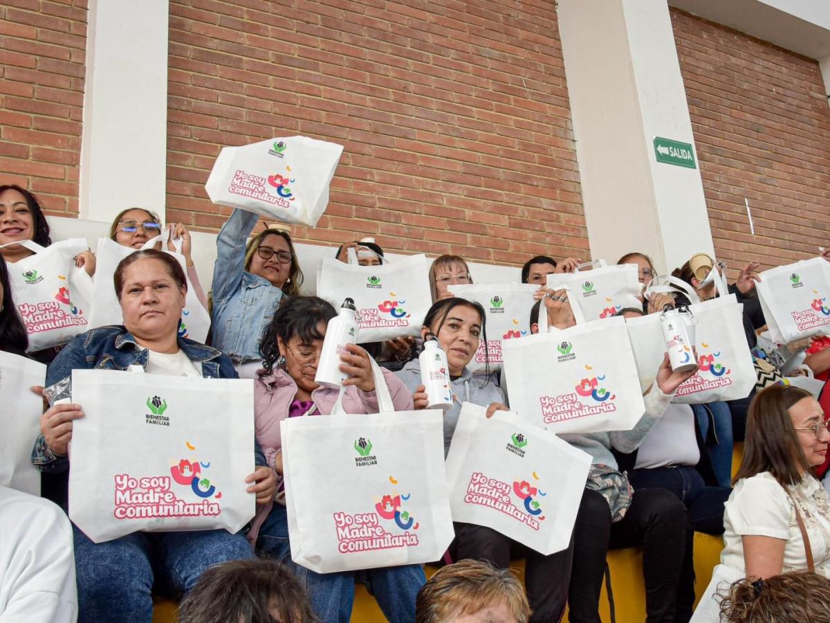 Formalización de madres comunitarias 