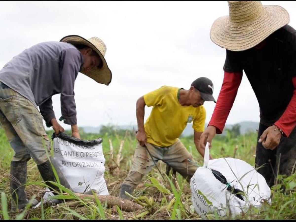 Entrega de tierras en Cúcuta 