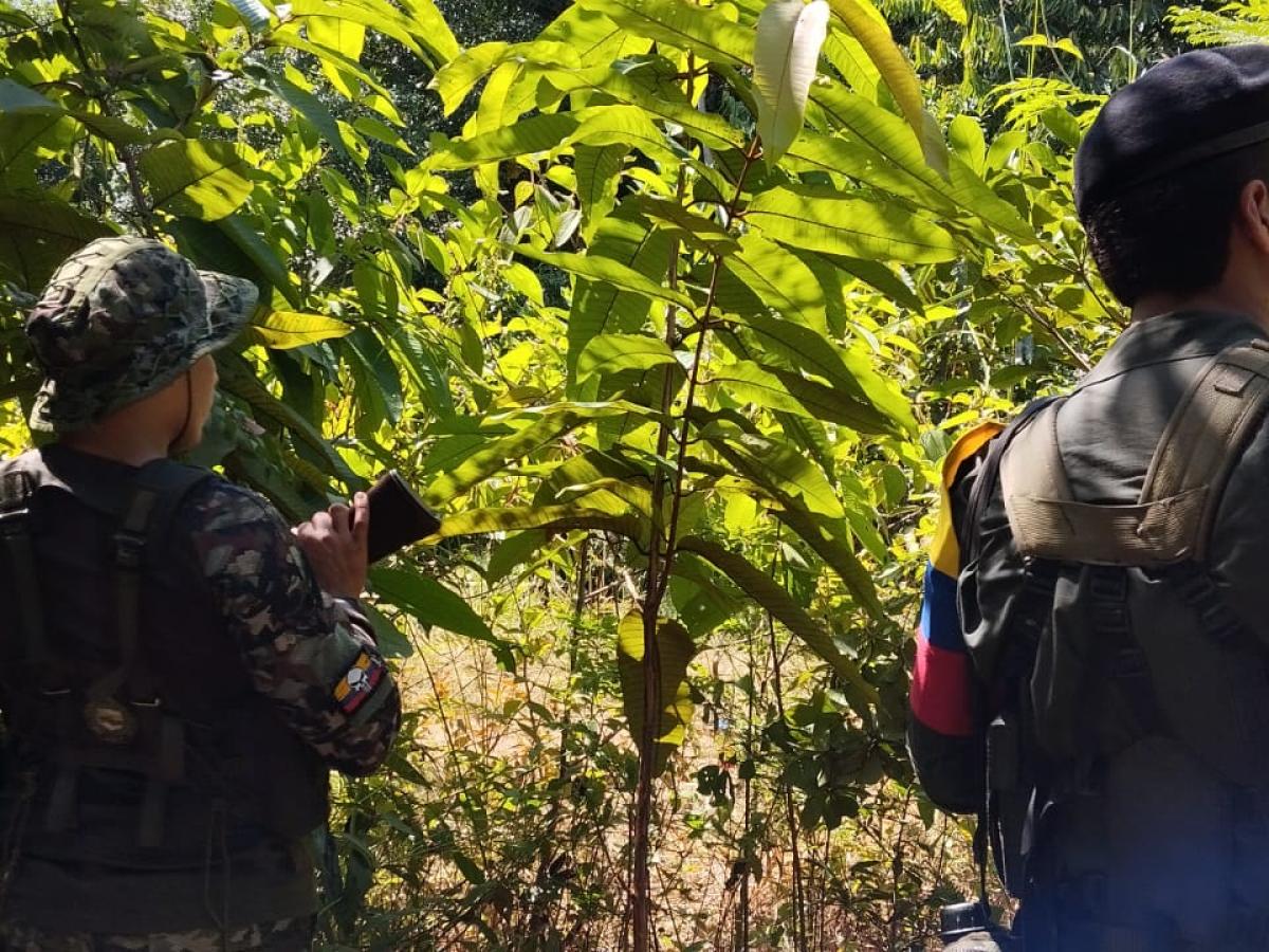 Norte de Santander: habitantes buscan paz total