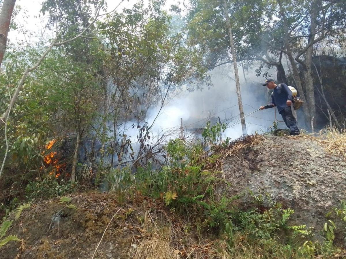 18 municipios del Huila se encuentran en alto y muy alto riesgo de incendios forestales por la posible llegada del Fenómeno de El Niño