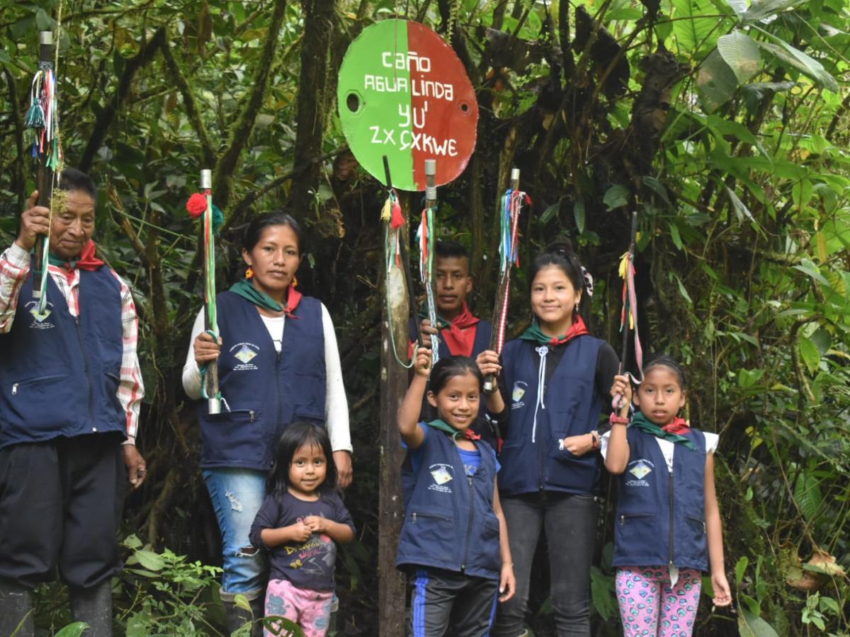 Mujeres indígenas como gobernadoras de los  resguardos en el Cauca