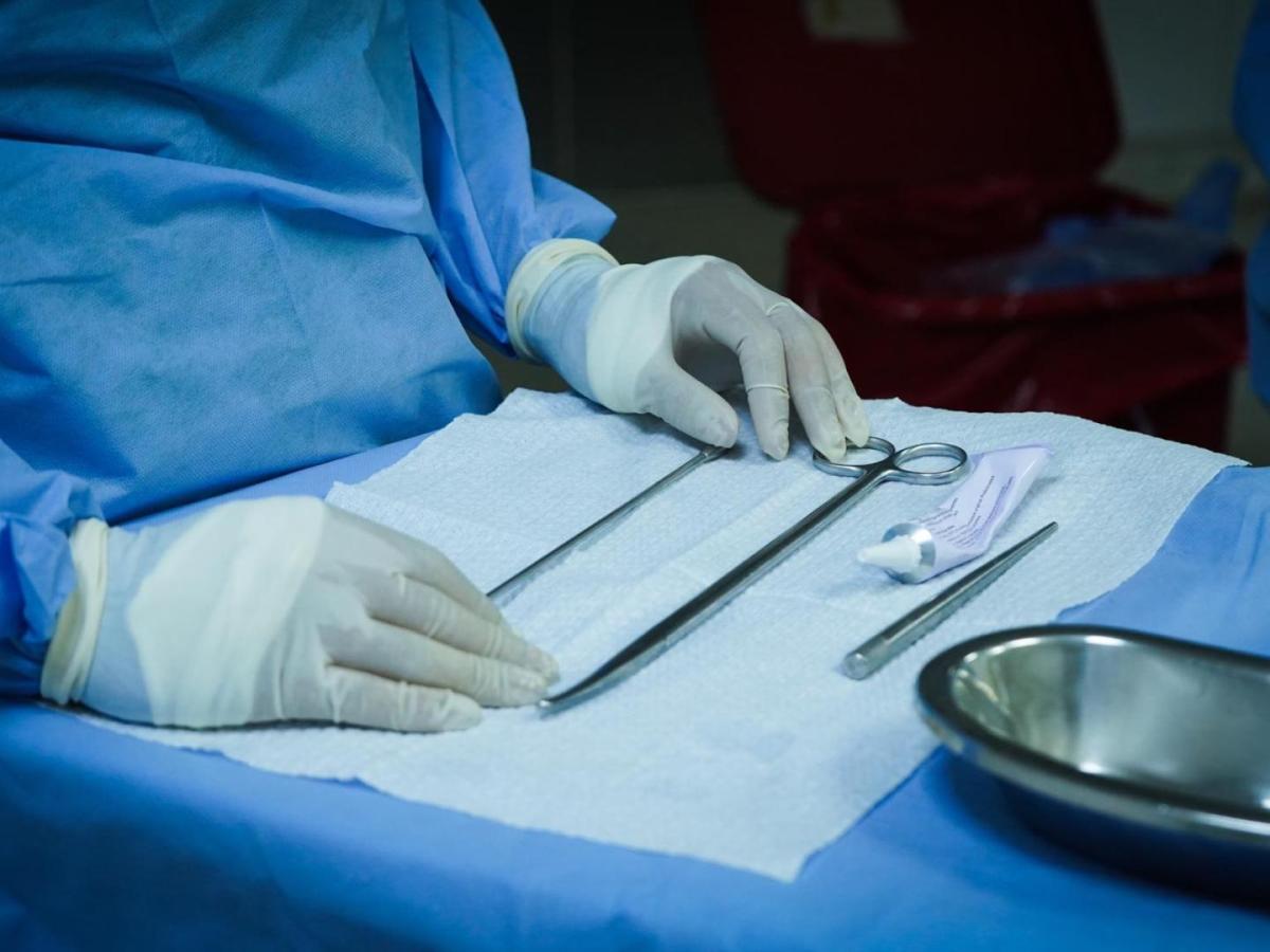 Día Mundial de la Salud: reforma sistema de salud y retos