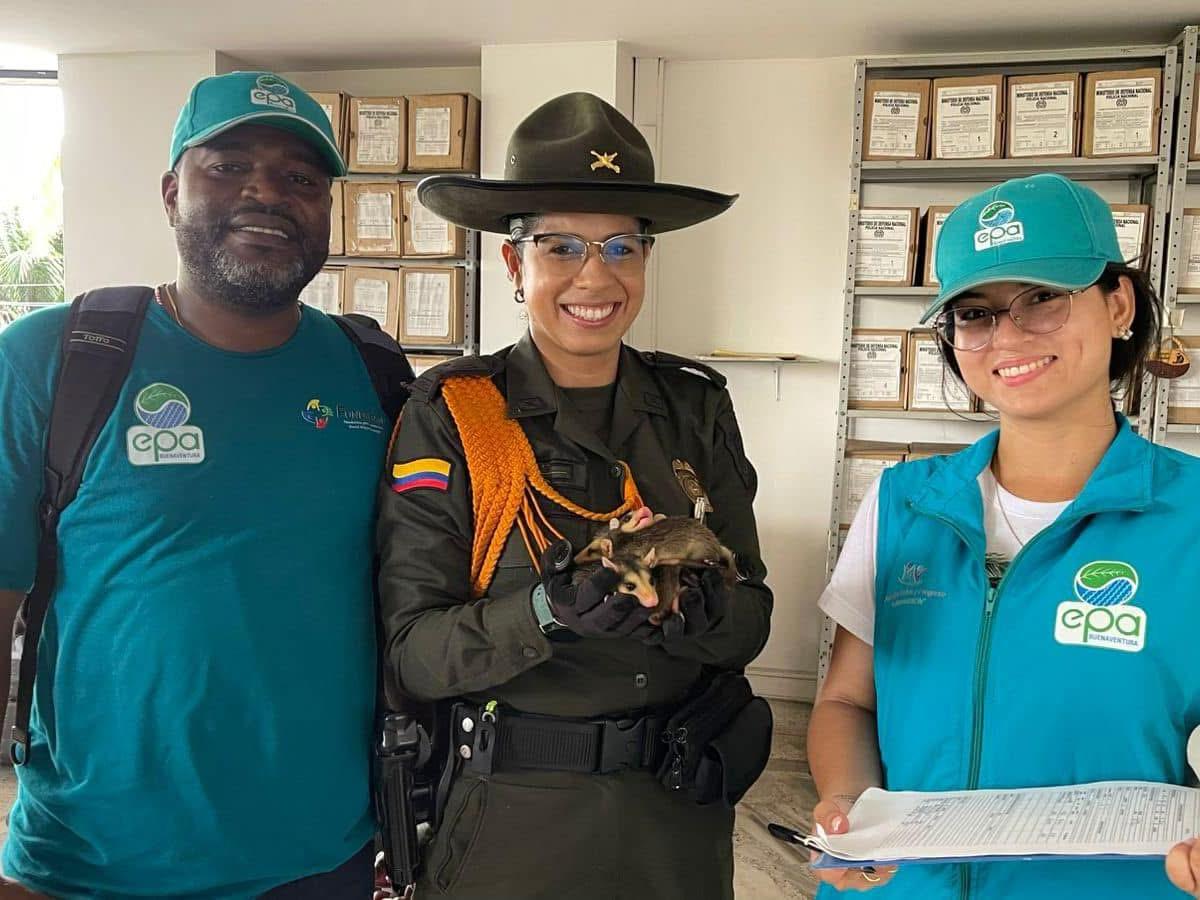 Protección de biodiversidad en Buenaventura