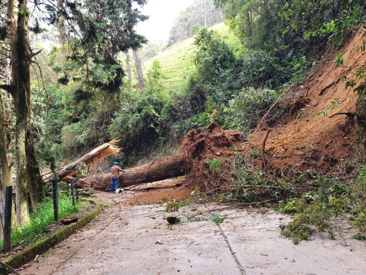 Lluvias en Caldas: afectaciones 