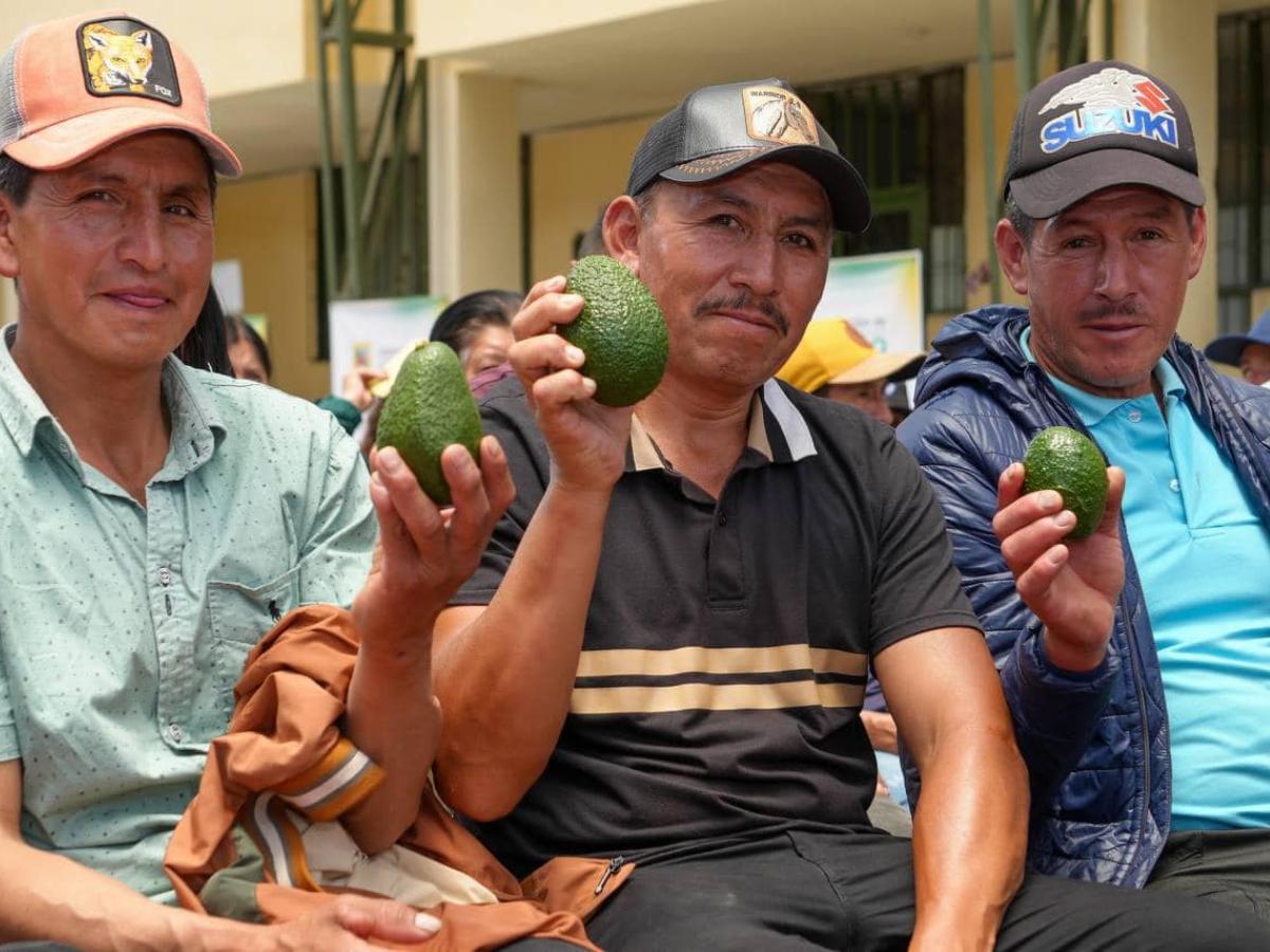 Maqueta de Paz en Nariño: 180 proyectos para salud, educación y vías