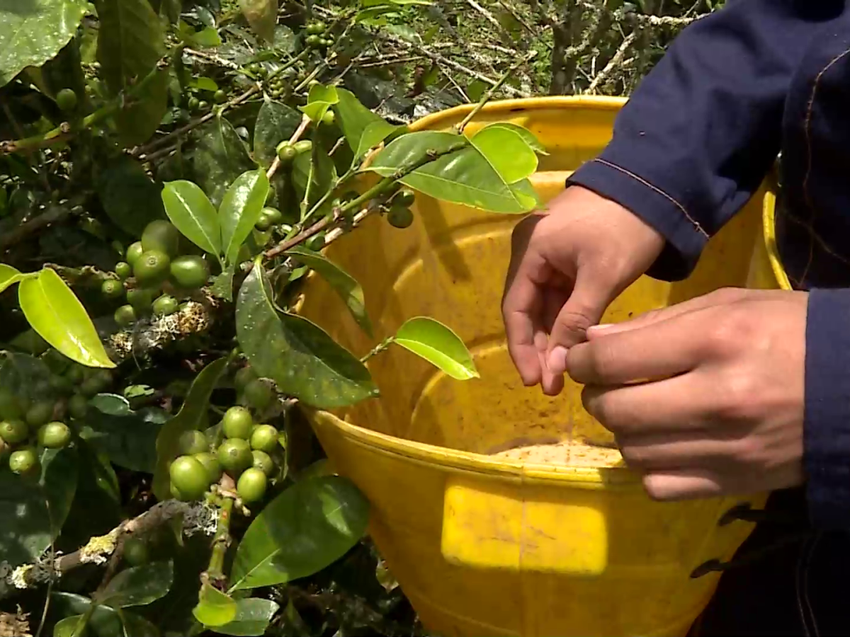 Iniciativa estudiantes Valle: desarrollo rural