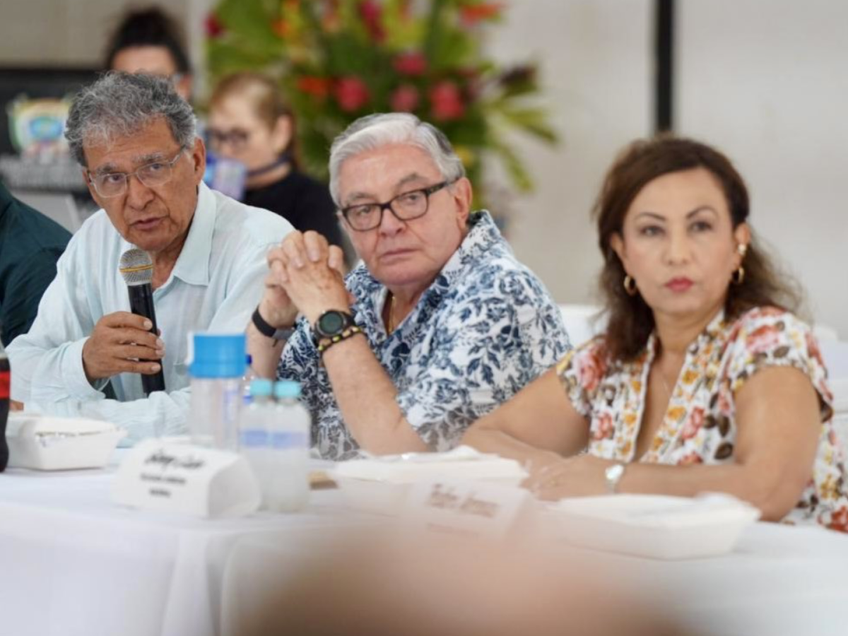 ONU pide acciones concretas en la reunión con el Gobierno y el EMC