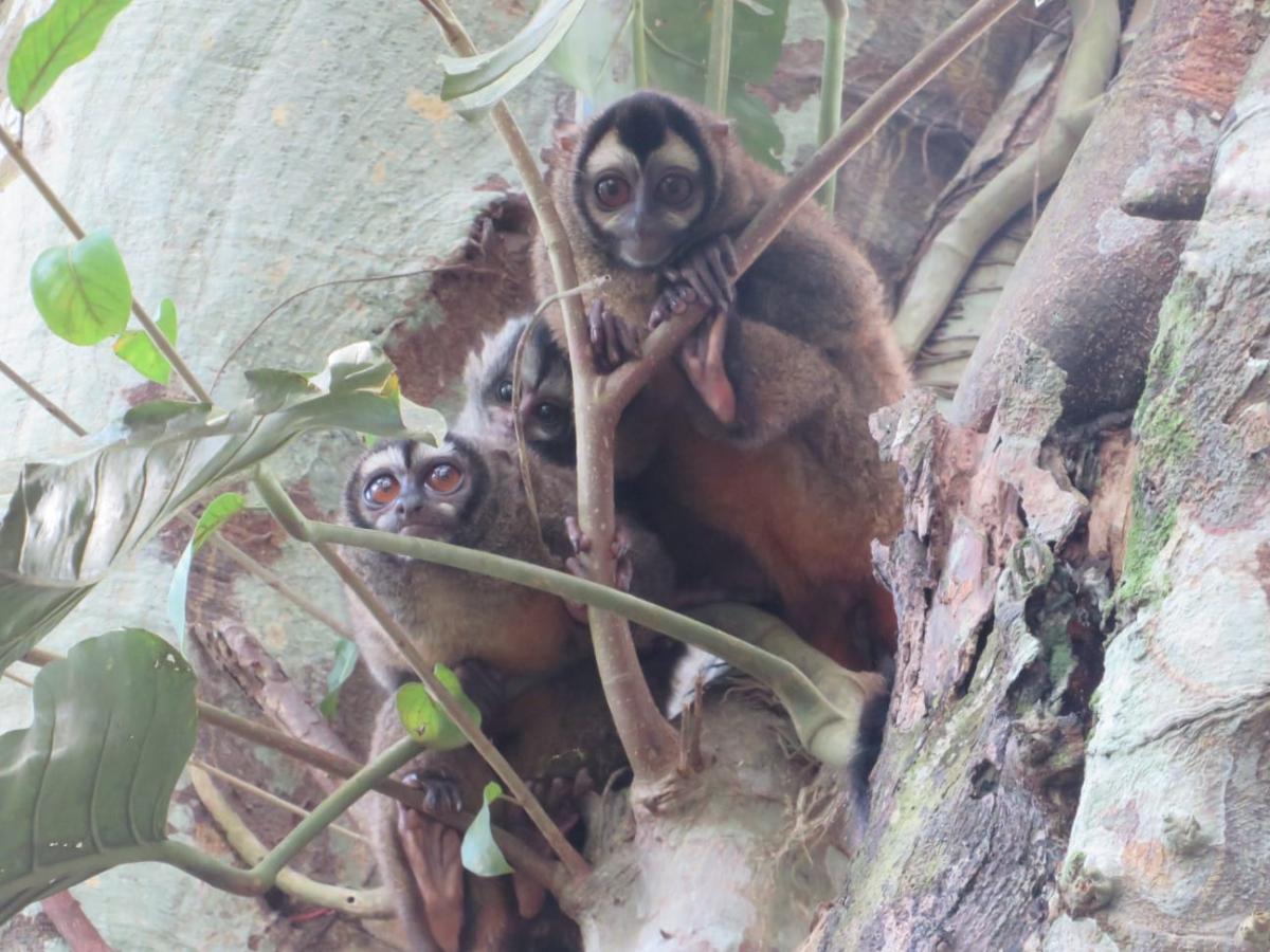 Este proyecto no solo fomenta el conocimiento científico, sino también el sentido de pertenencia y la responsabilidad por el cuidado del medio ambiente.