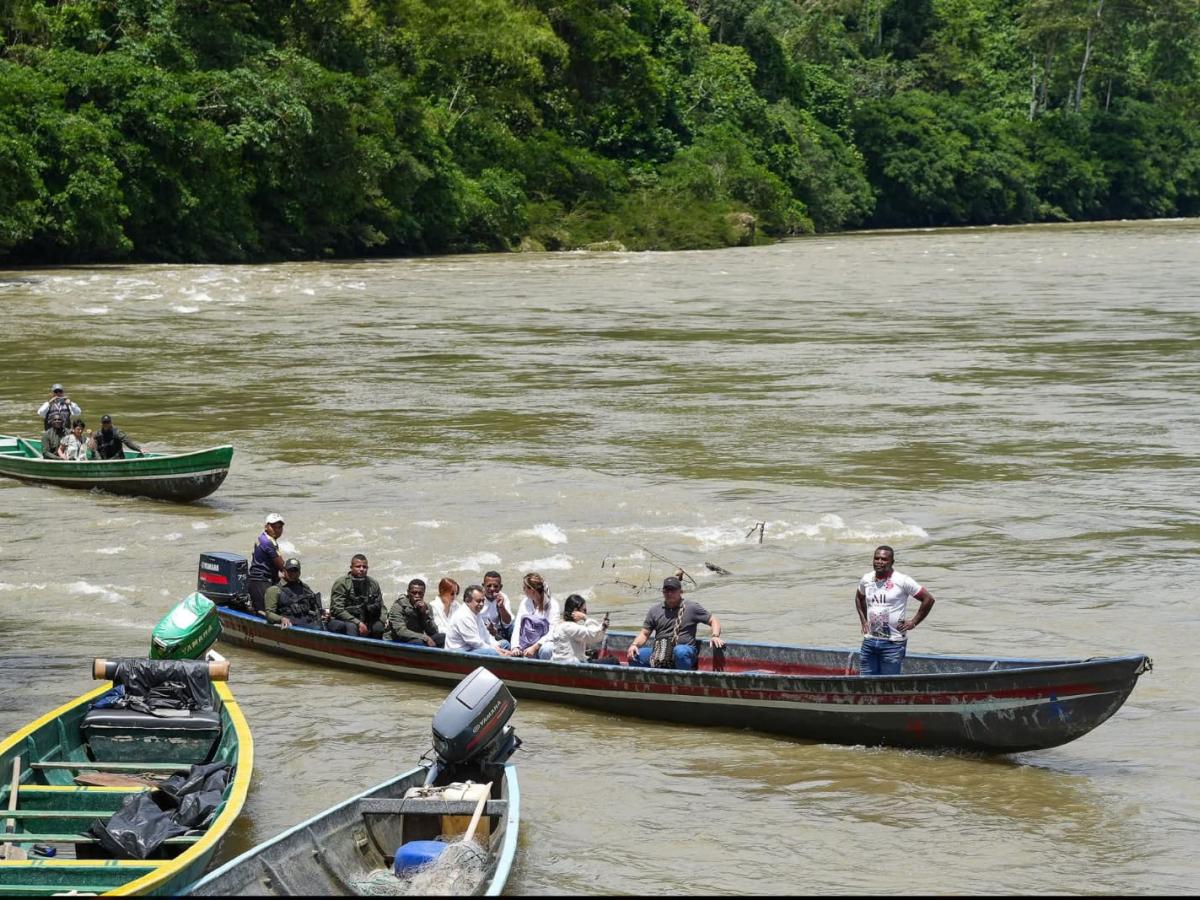RenHacemos impulsa sustitución de cultivos ilícitos en Nariño