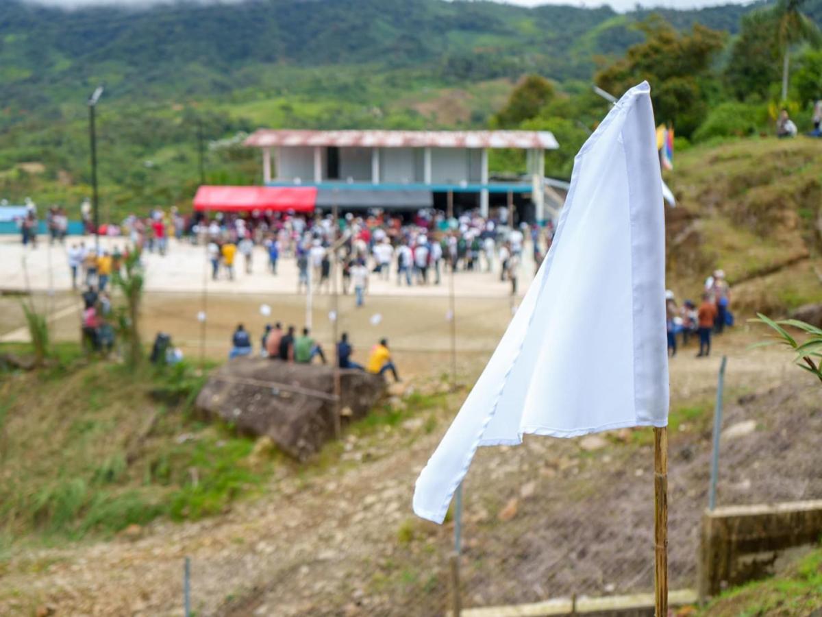 Diálogos de paz: cese al fuego de 6 meses Gobierno y Comuneros del Sur 