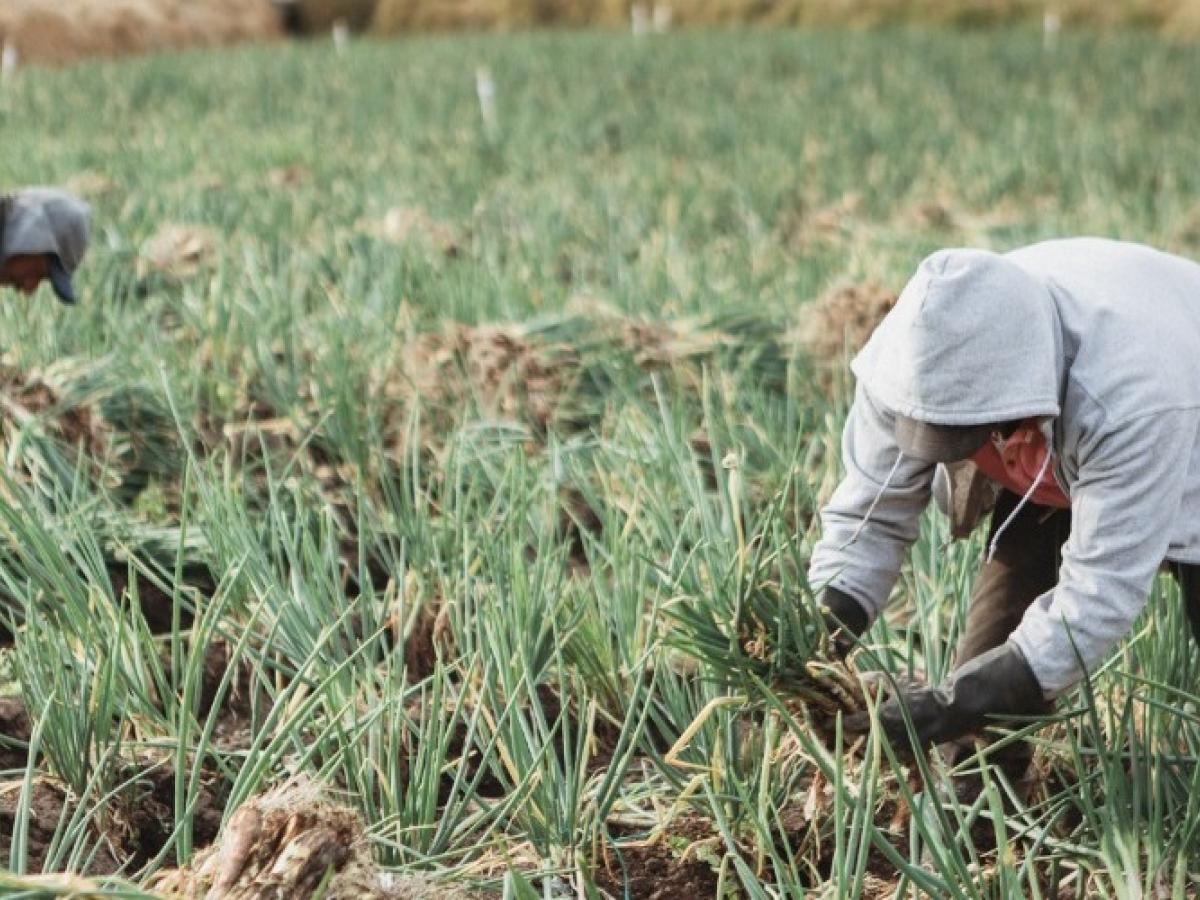 Se aprobó el último debate ley estatutaria de jurisdicción agraria en la Cámara de Representantes