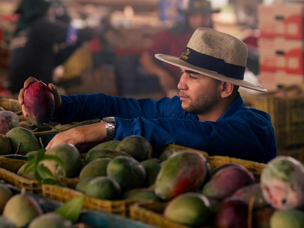 Villavicencio es entidad prestadora de servicios de extensión agropecuaria