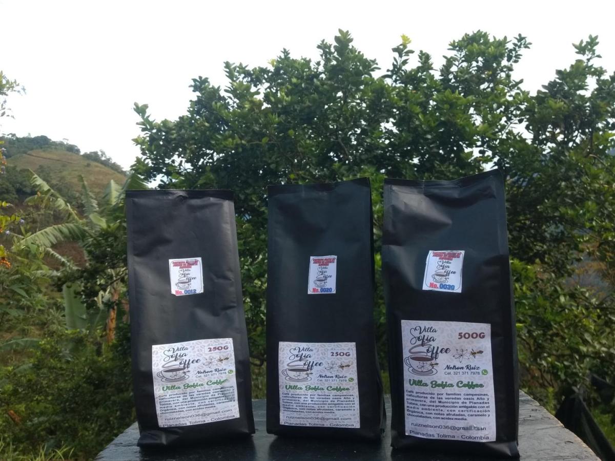 De la violencia a la oportunidad: Nelson Ruiz, emprendedor de Planadas