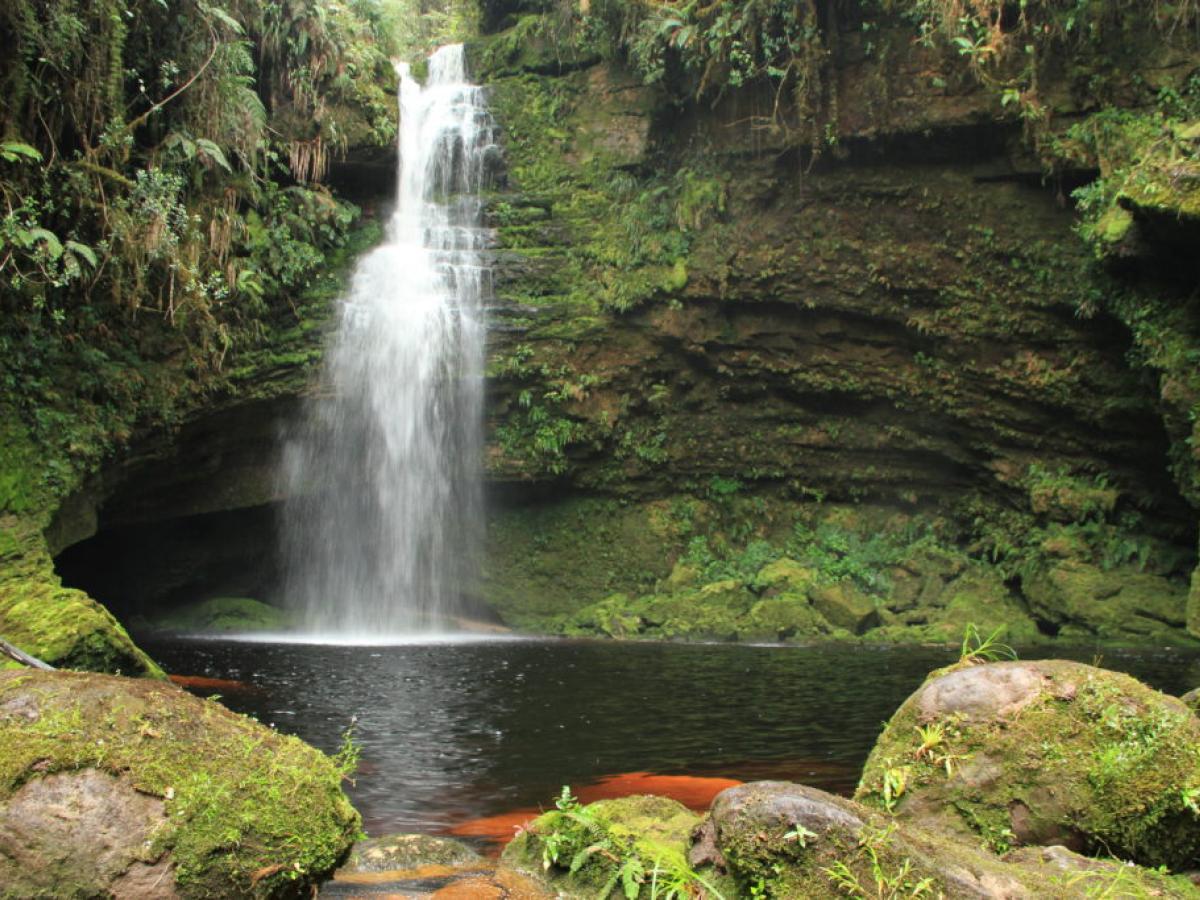 Día de los Parques Nacionales de Colombia 2025 