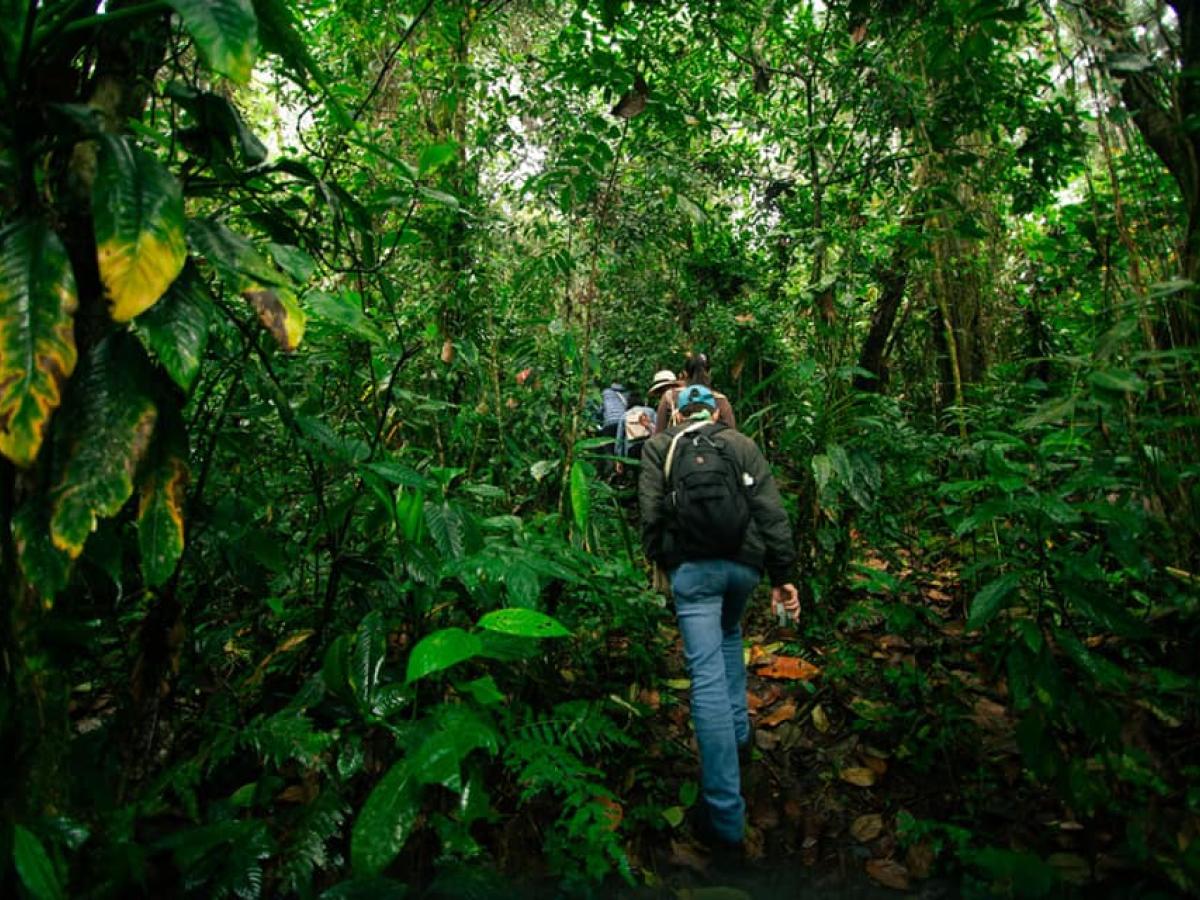 Manizales: Conoce los atractivos de la Comuna Ciudadela del Norte