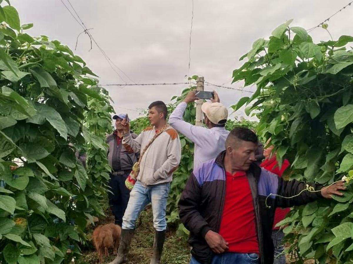 Huila: cultivadores de café reciben ayudas para transformación de sus productos