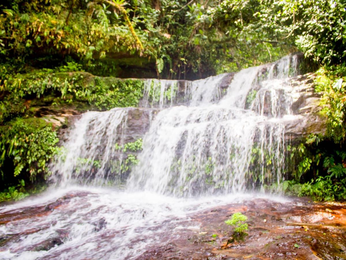 Cascadas de El Paraíso en la Amazonía