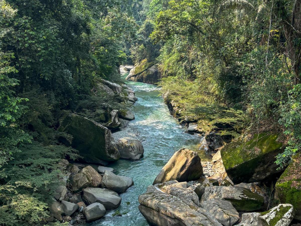 Turismo sostenible Colombia: lugares para conocer en Meta