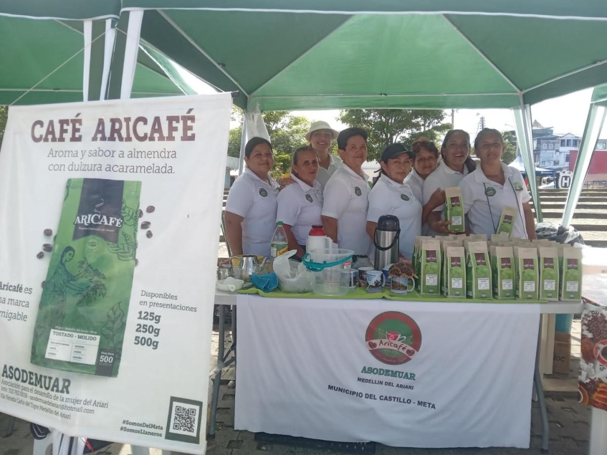 El café, un camino para reconstruir vidas en el Meta