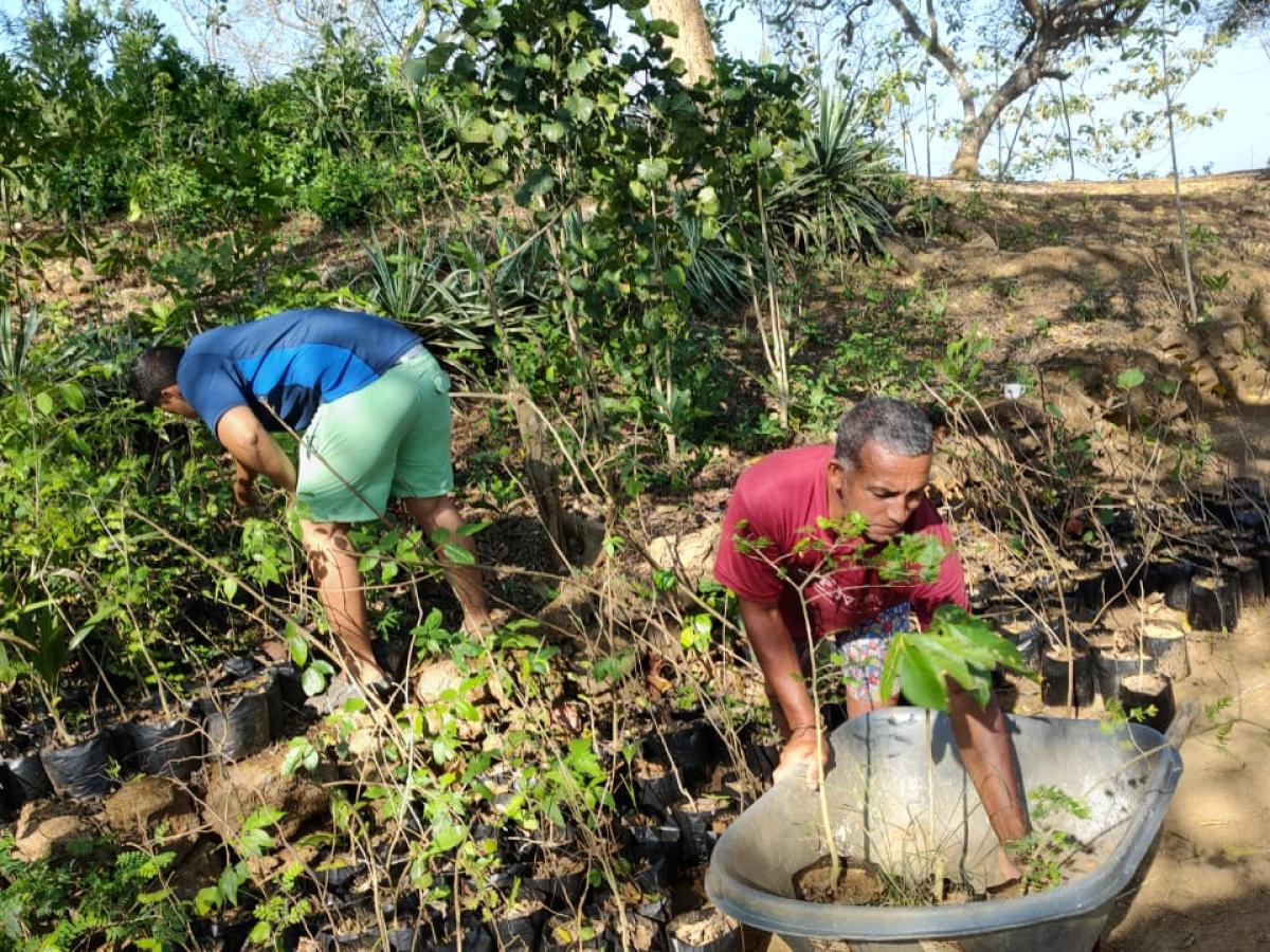 Jóvenes del Caribe colombiano trabajan en la protección de ecosistemas