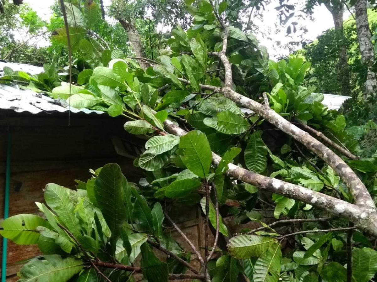  El Carmen de Bolívar