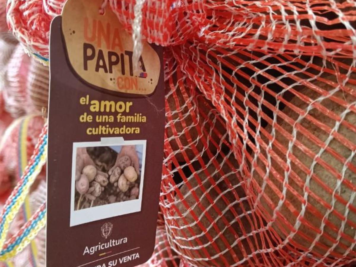 Gobierno nacional crea programa de apoyo a los que cultivan papita 