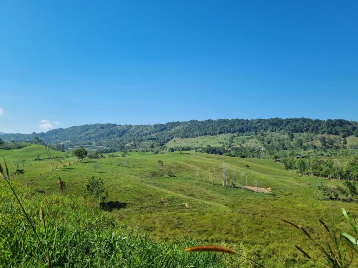 ANT entregará 40 mil hectáreas de tierras a familias campesinas 