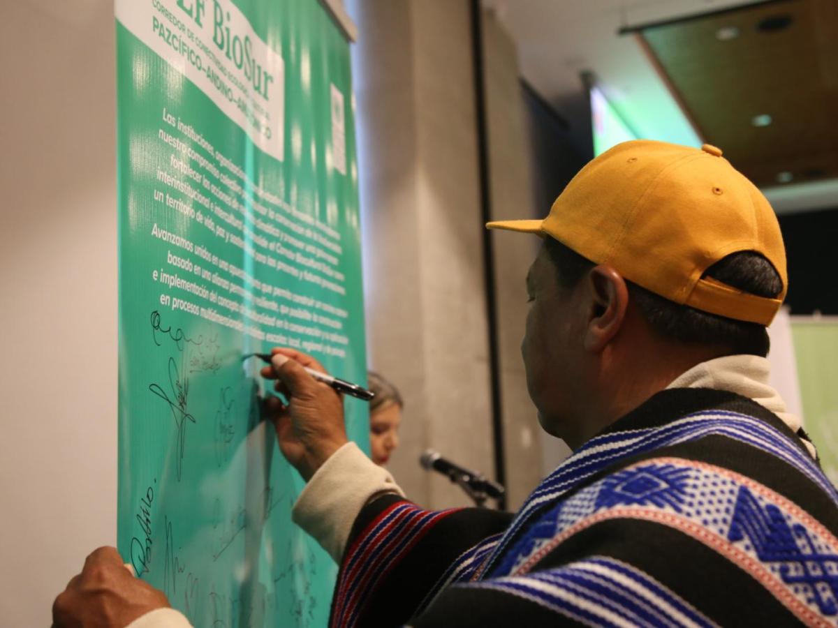 GEF BioSur: Detalles del proyecto