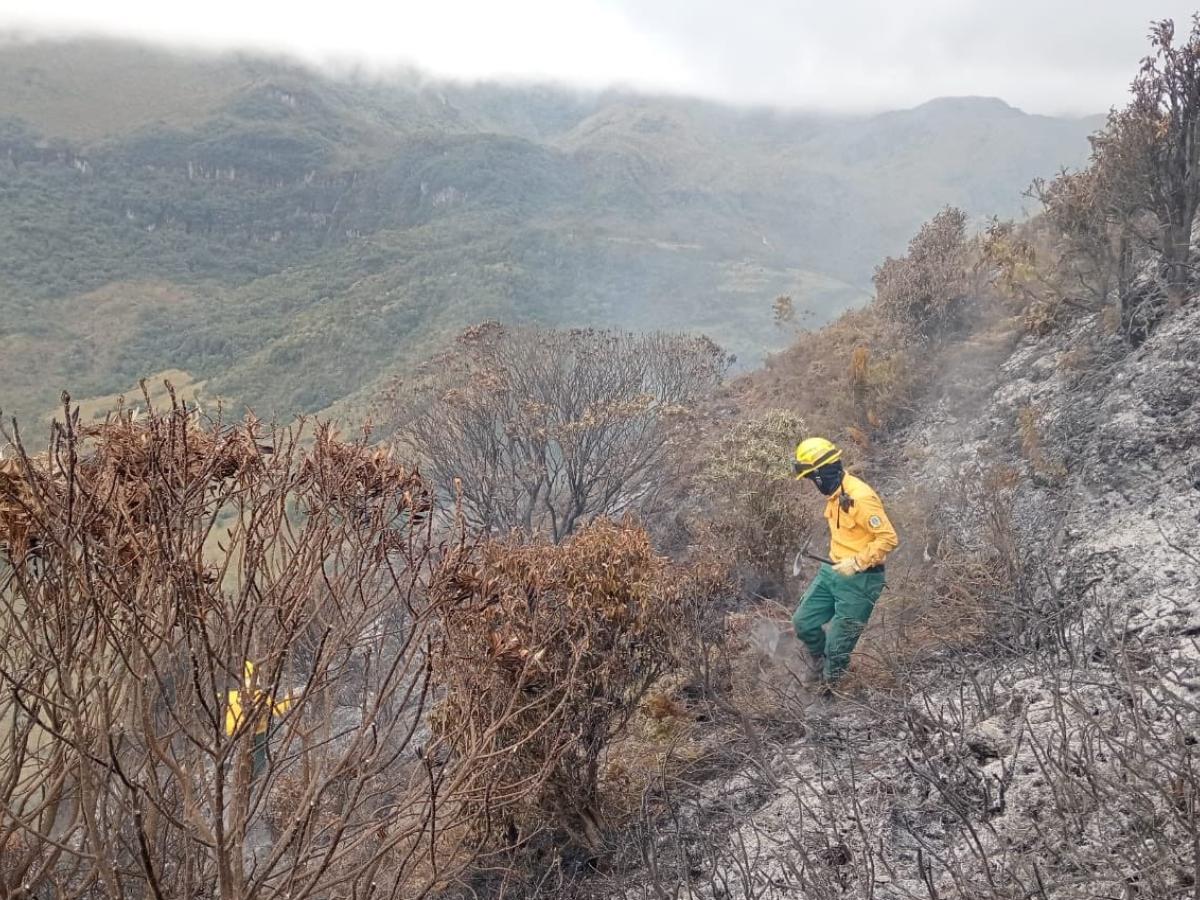 Parque Natural Los Nevados: ¿cómo prevenir incendios?