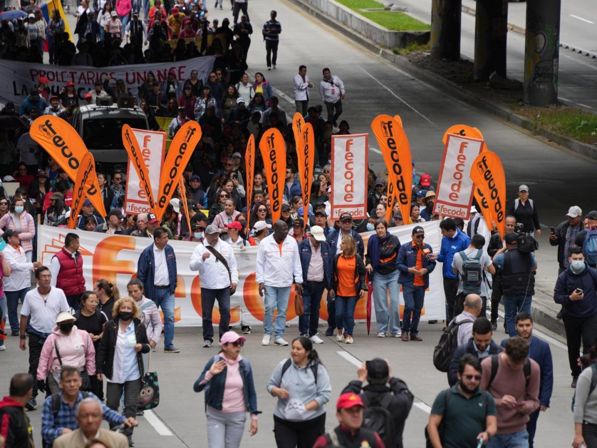 Paro maestros HOY: ministra de Educación sobre Ley Estatutaria y Fecode